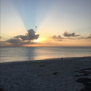 Meet your Posher, Ginger